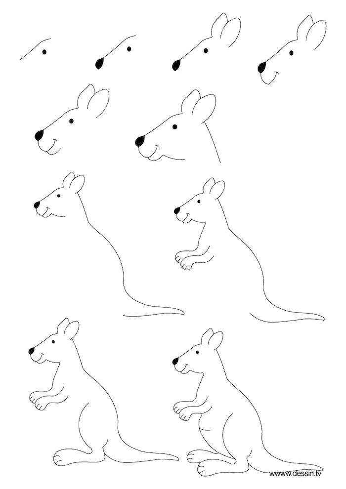 black and white sketch, things to trace, how to draw a kangaroo, step by step, diy tutorial
