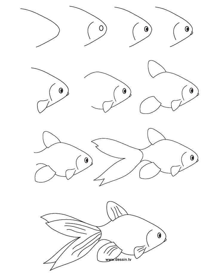 how to draw a koi fish, things to trace, step by step, diy tutorial, black and white sketch