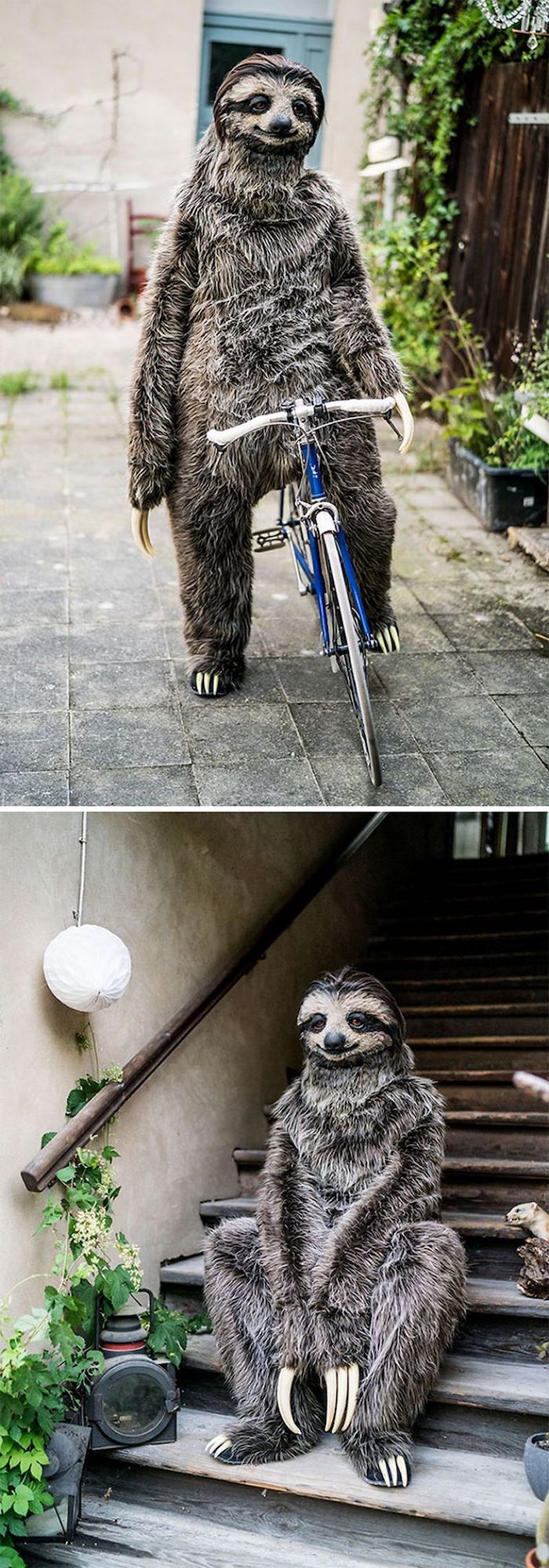 sloth riding a bike