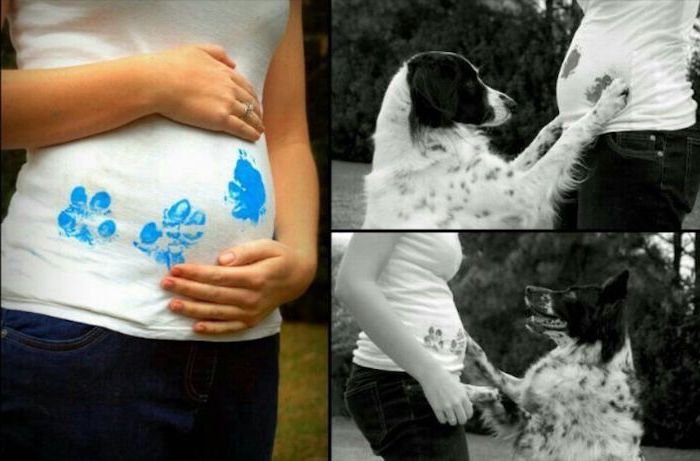 photo collage, woman with white t shirt, blue dog prints on it, gender reveal pinata