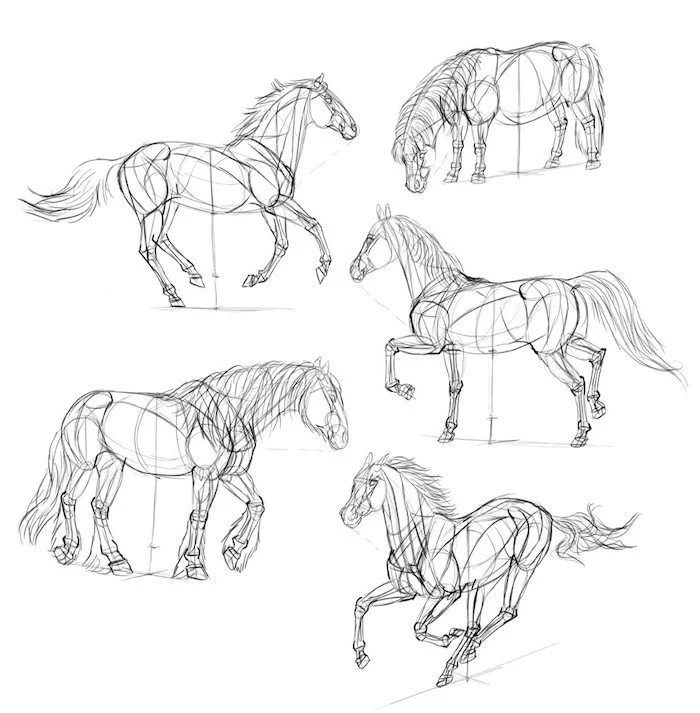 step by step, how to draw a horse, things to trace, diy tutorial, black and white sketch