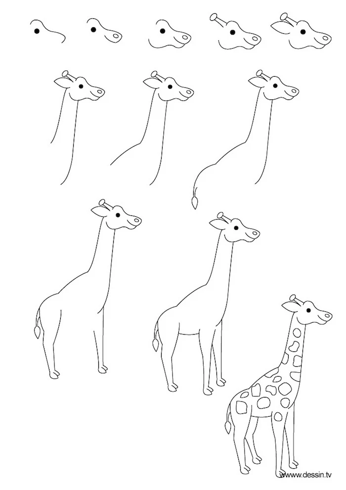photo to line drawing, how to draw a giraffe, step by step, diy tutorial, black and white sketch