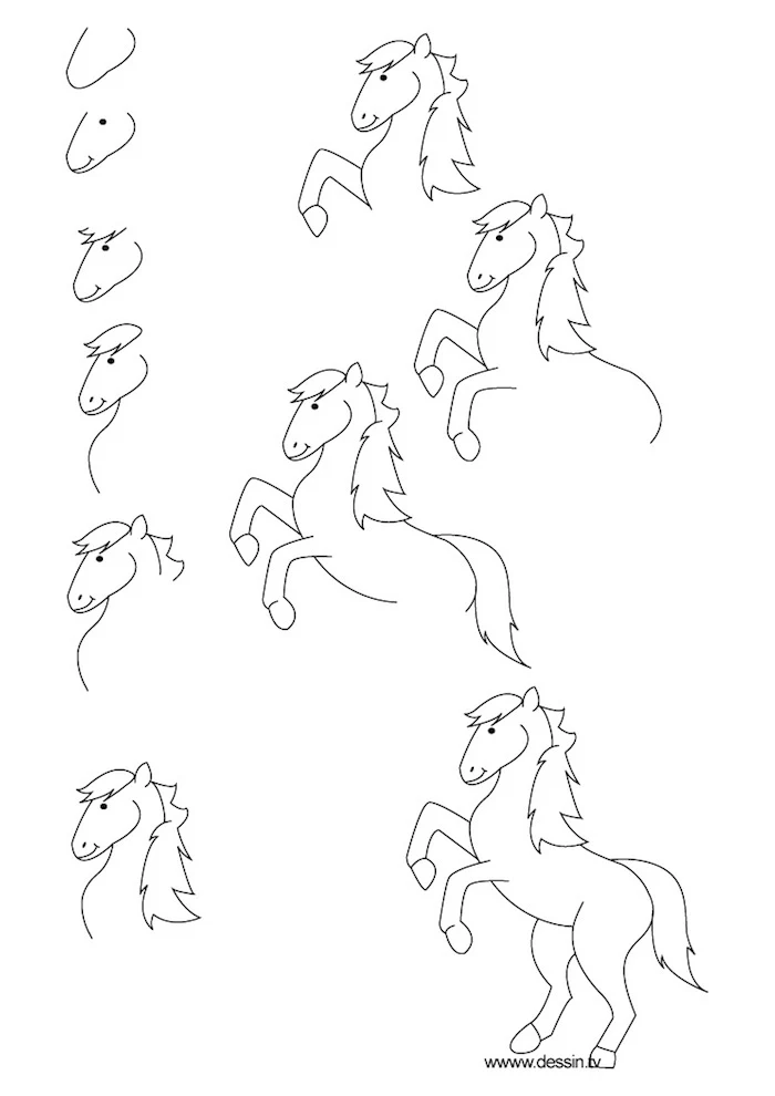 how to draw a horse, photo to line drawing, step by step, diy tutorial, black and white sketch