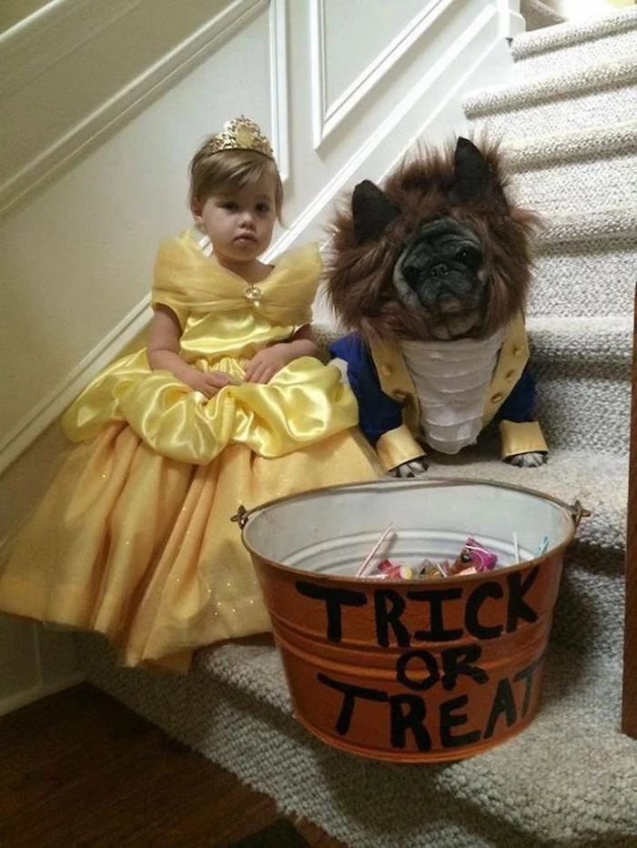 little girl dressed as belle, dog dressed as beast, beauty and the beast, halloween costumes for kids girl, trick or treat bucket