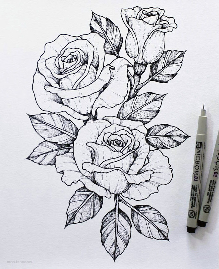 Featured image of post Simple Way to Easy Rose Drawing Sketch