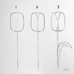 Easy flowers to draw - step-by-step tutorials + pictures - archziner.com