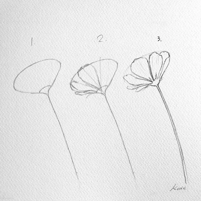 white background, black pencil sketch, easy flowers to draw, step by step, diy tutorial