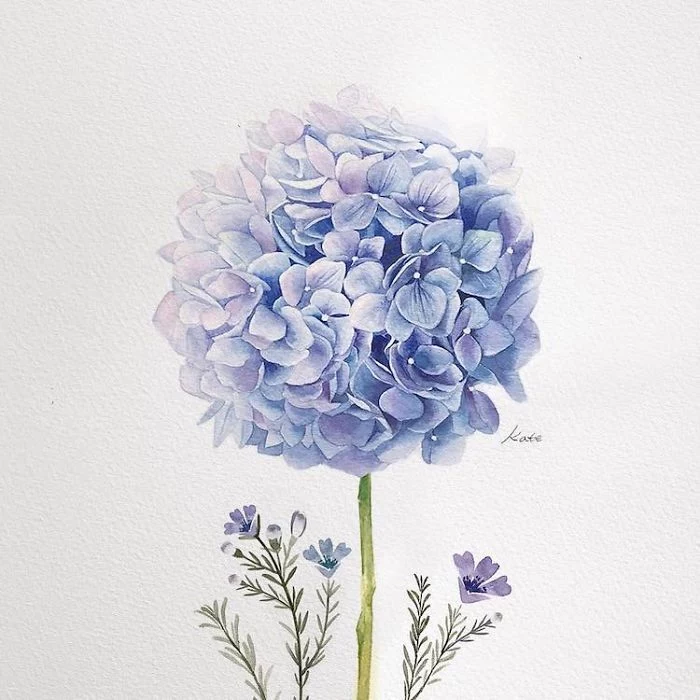 blue flower, white background, easy pictures to draw, watercolor painting