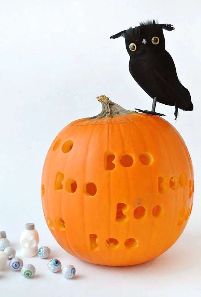 the words boo, carved into a pumpkin, plastic bird on top, jack o lantern designs, plastic eyes, white background