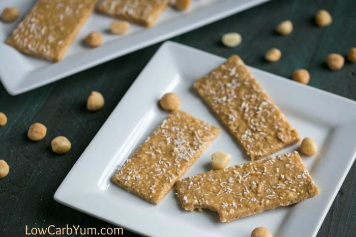 coconut bars, coconut flakes on top, on white plate, low carb breakfast, macadamia nuts, scattered around