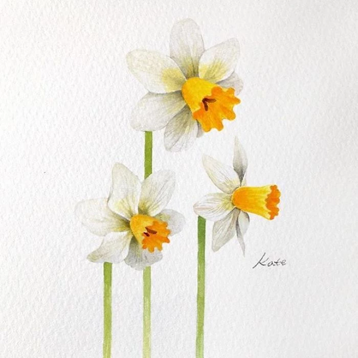 three daffodils, easy pictures to draw, watercolor painting, white background