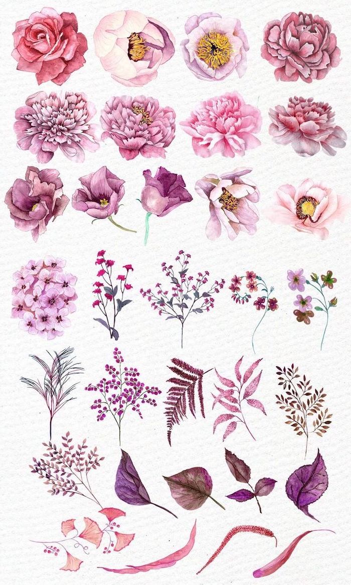 different flowers and leaves, pink and purple, simple flower drawing, white background
