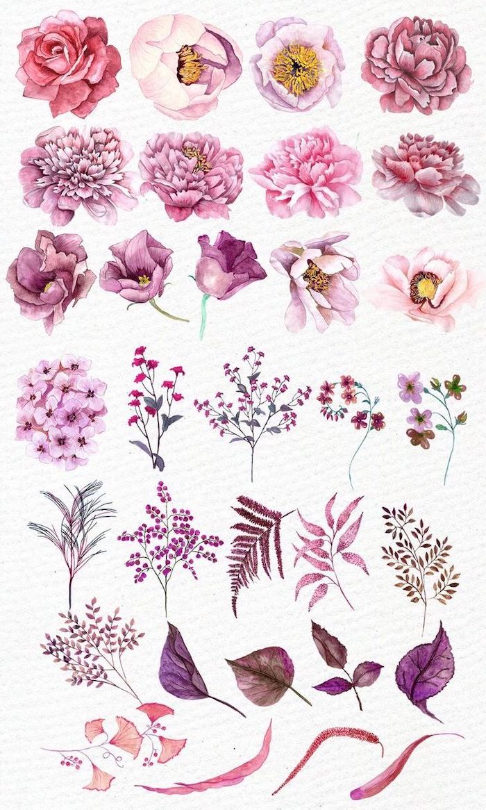 Featured image of post Colour Drawing Ideas Of Flowers - This blog post reveals a collection of botanical illustrations and flower drawings from the annual inktober challenge.