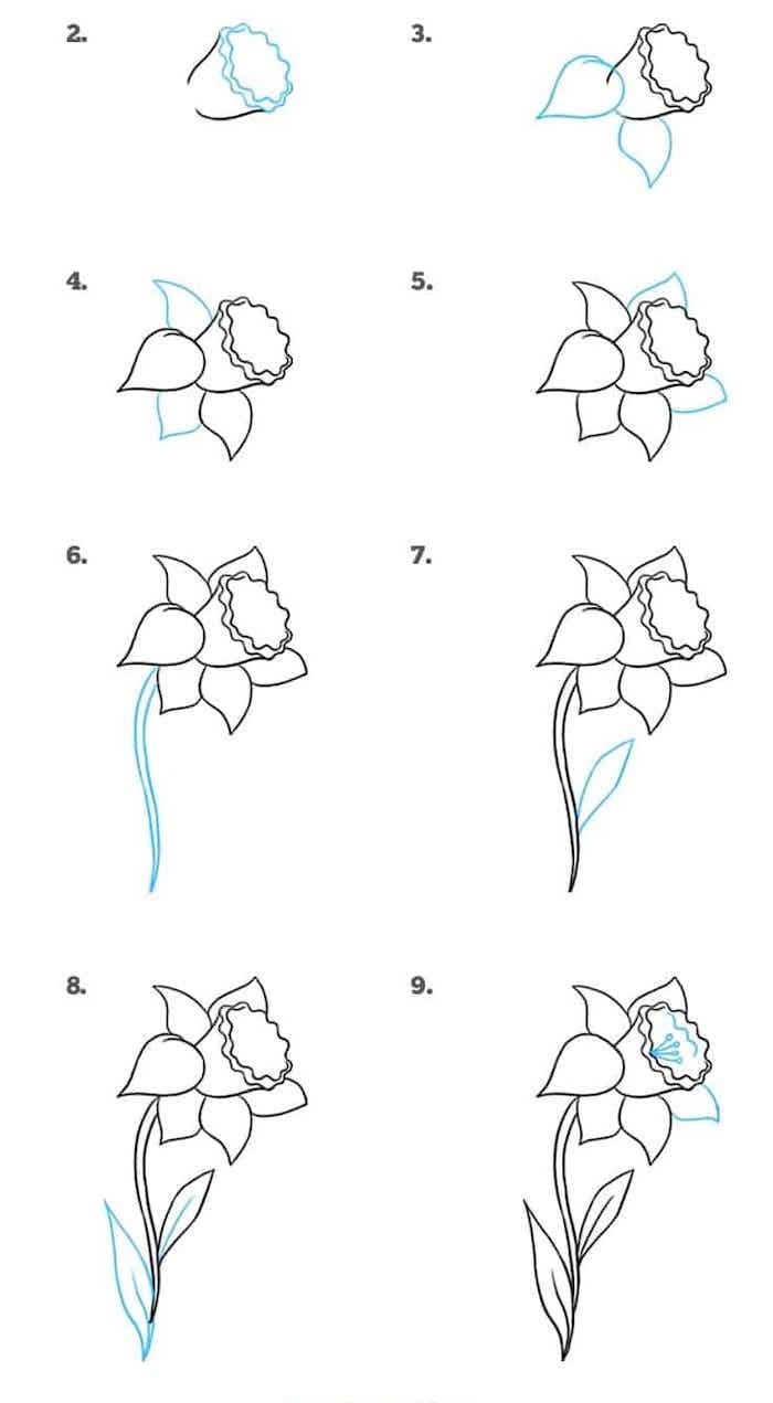 step by step, diy tutorial, simple drawing ideas, how to draw a daffodil, white background