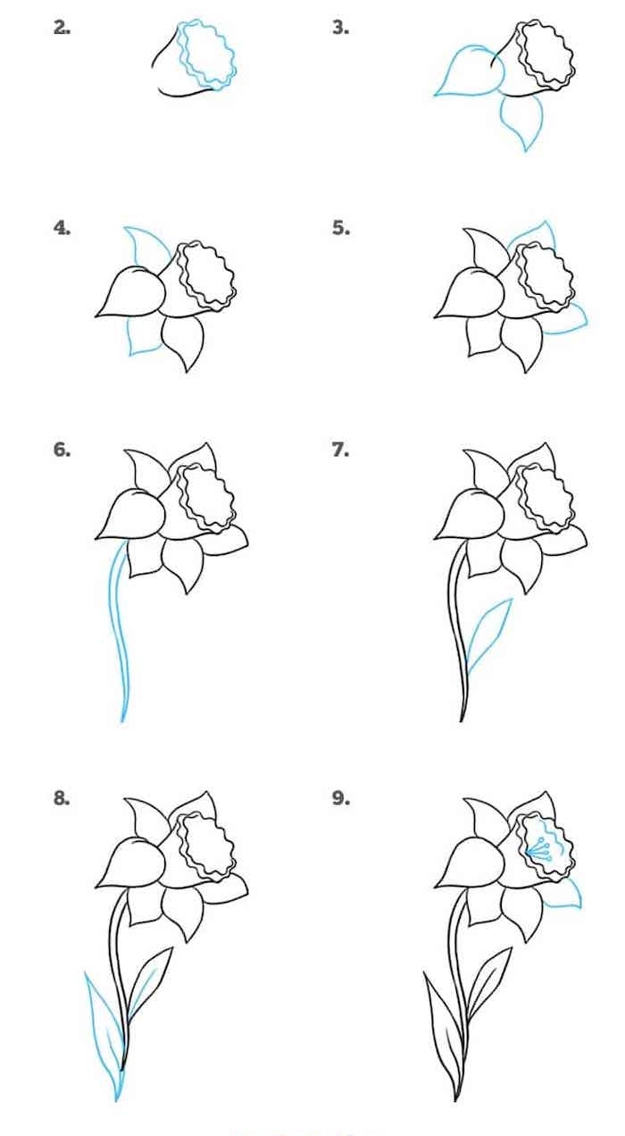 1001 + ideas and tutorials for easy flowers to draw + pictures