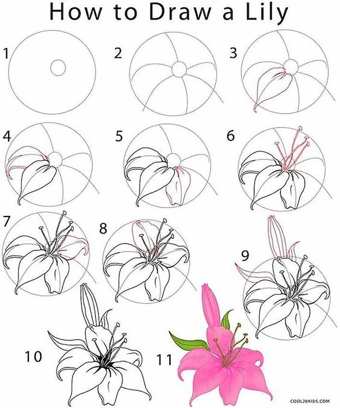 how to draw a lily, rose drawing step by step, diy tutorial, black pencil sketch, white background