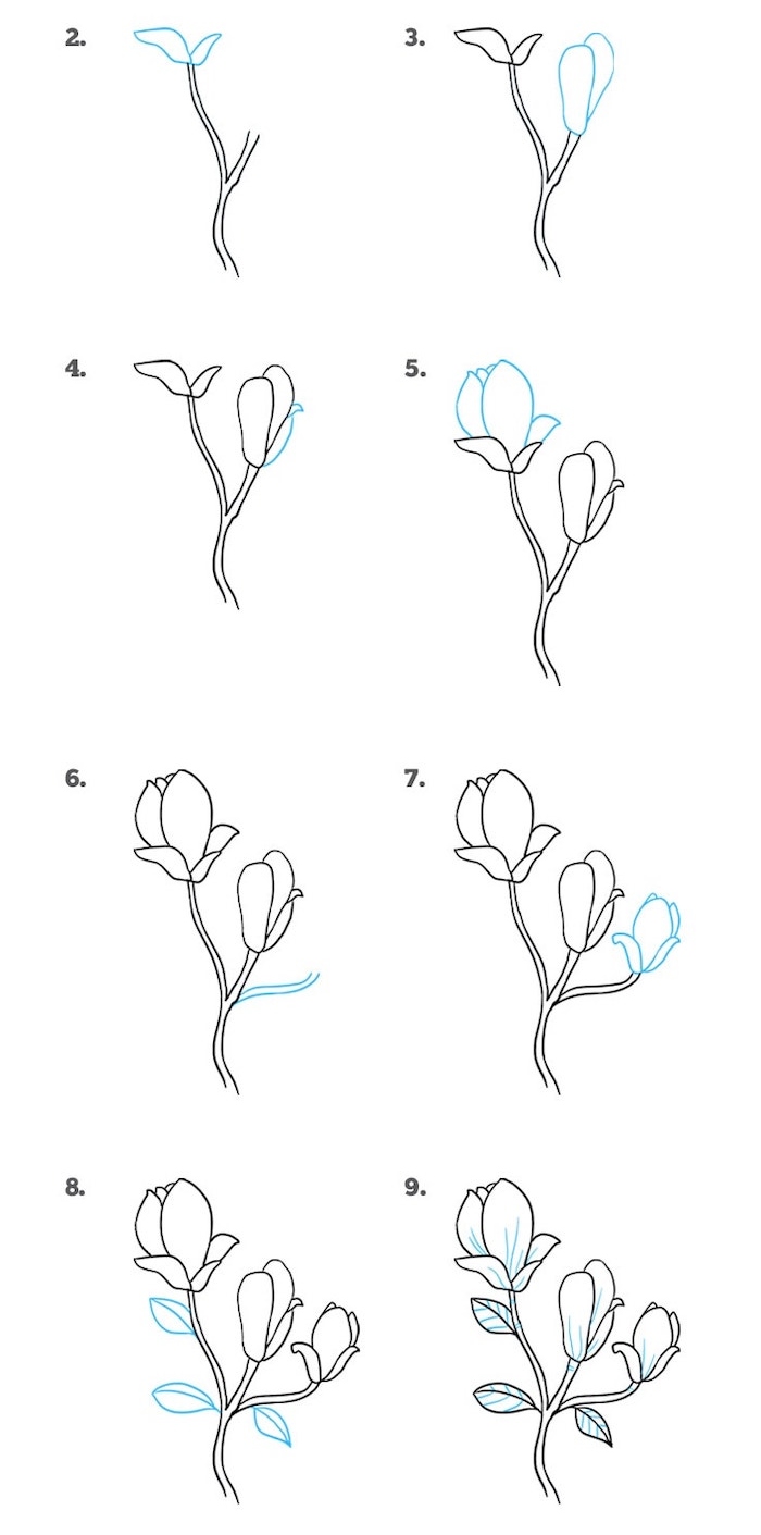 Simple Flower Designs For Pencil Drawing Step By Step