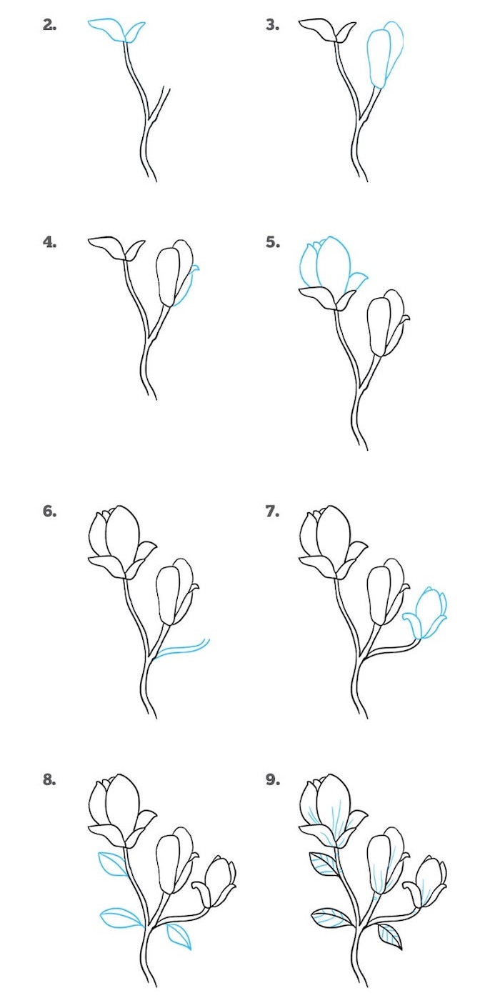 Easy flowers to draw - step-by-step tutorials + pictures 