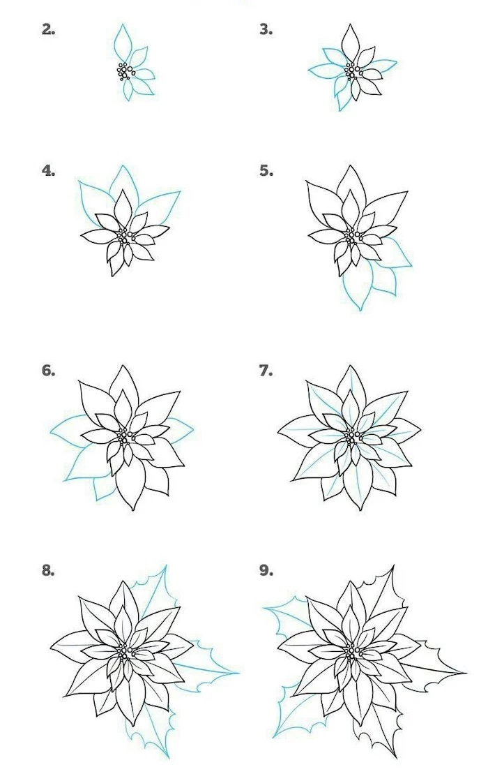 drawing pictures of flowers, how to draw a poinsettia, step by step, diy tutorial, white background