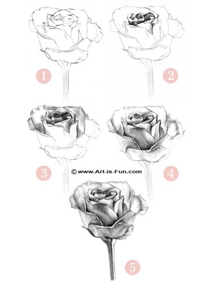 Featured image of post Step Beginner Easy Flower Drawings In Pencil