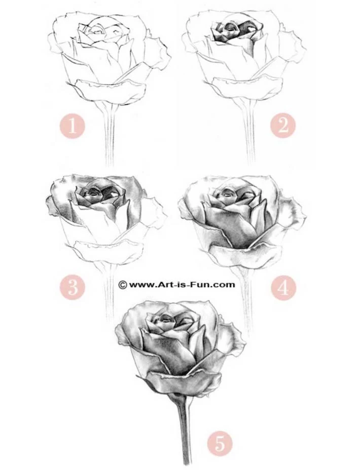 how to draw a rose, step by step, diy tutorial, drawing pictures of flowers, black pencil sketch, white background