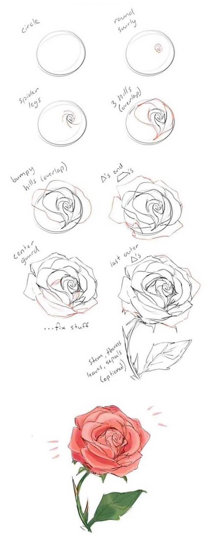 step by step, diy tutorial, how to draw a rose, drawing pictures of flowers, black pencil sketch, white background