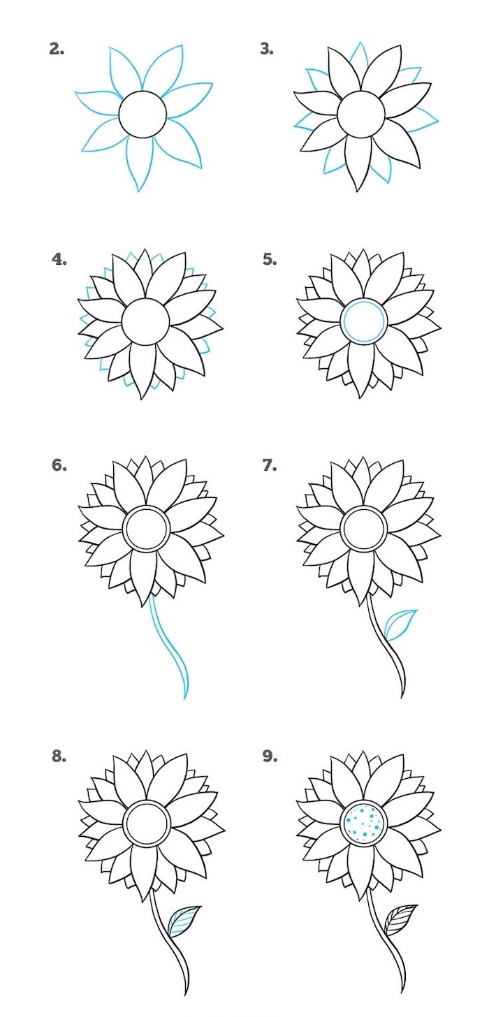 how to draw a sunflower, step by step, diy tutorial, drawing pictures of flowers, black pencil sketch, white background