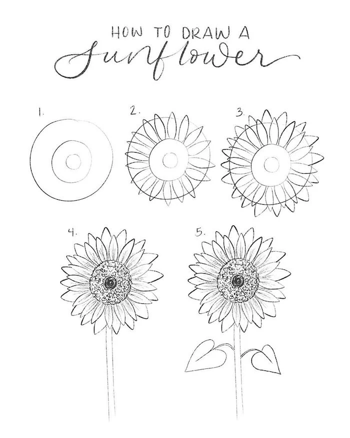 white background, black pencil sketch, how to draw a flower easy, step by step, diy tutorial