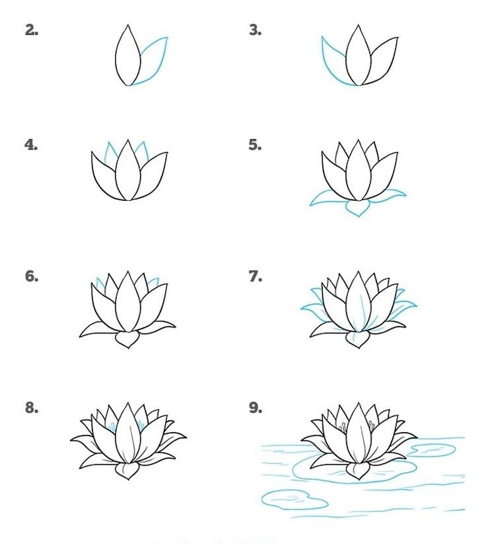 simple drawings of lilies