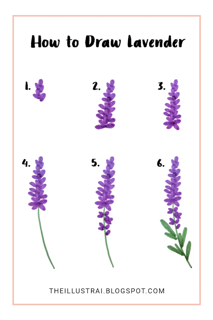 how to draw lavender, step by step, diy tutorial, how to draw a flower easy, white background, pictures of flowers that are easy to draw