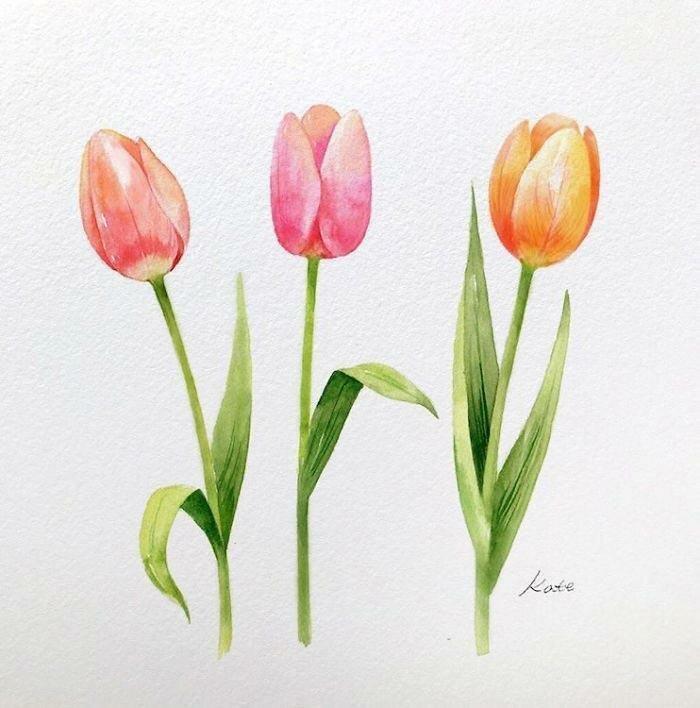 pink orange and yellow tulips, watercolor painting, step by step drawing, white background, how to draw flowers step by step with pictures