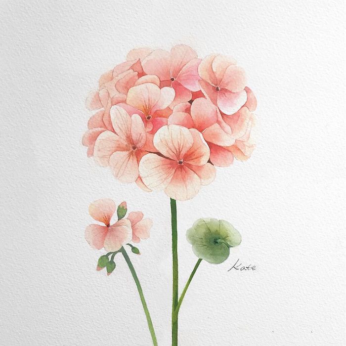 cute easy drawings of flowers