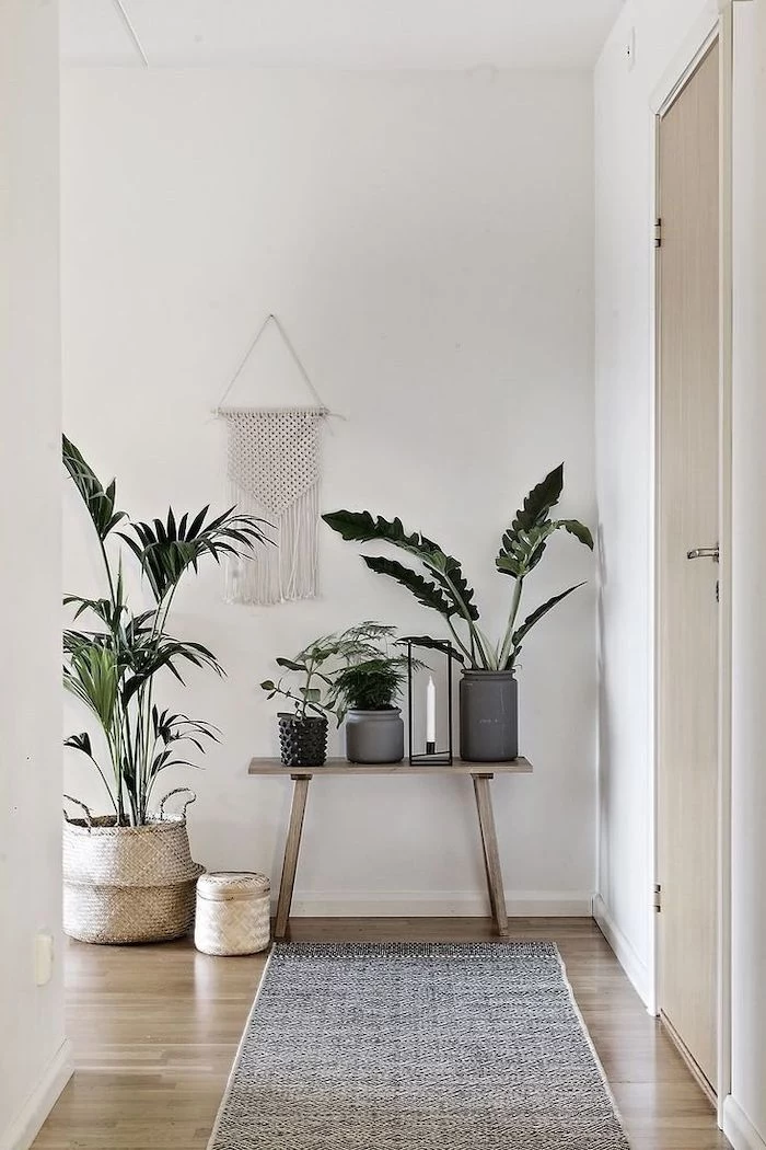 potted plants, arranged on a wooden table, wooden floor, update your entrance hall, grey rug, wooden door