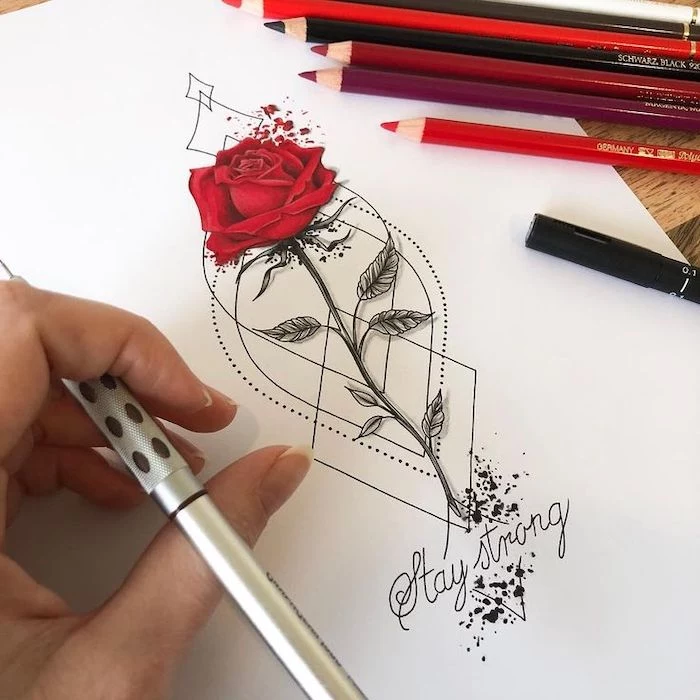 red rose, stay strong, on white background, pictures of flowers to draw, hand holding a pencil