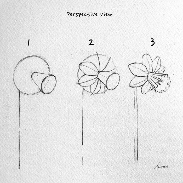 flower drawing in pencil step by step