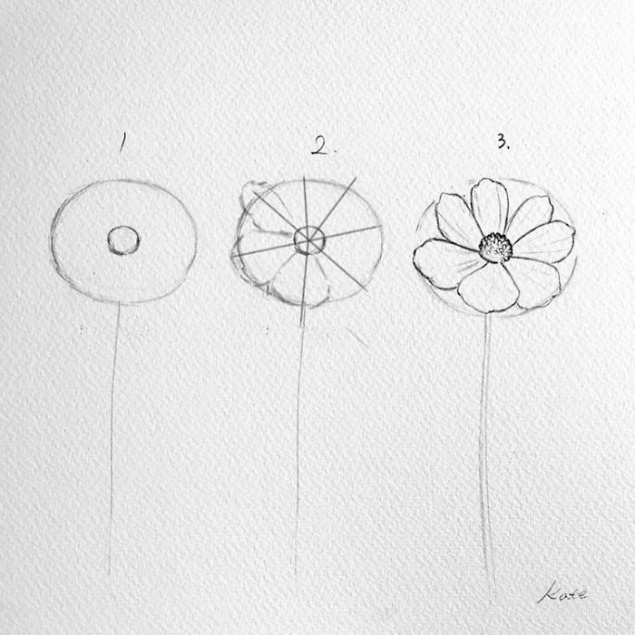 Easy flowers to draw - step-by-step tutorials + pictures 