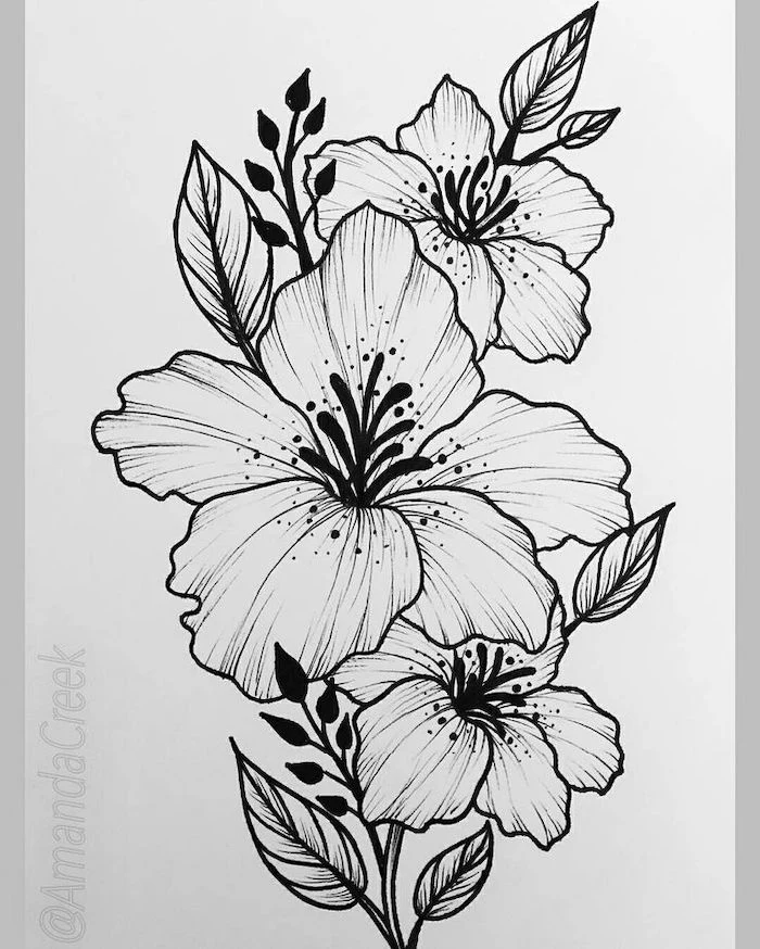 black pencil sketch, on white background, three orchids, cool simple drawings