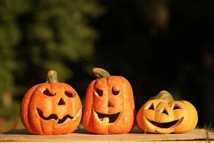 three pumpkins, arranged on a wooden table, cool pumpkin carvings, blurred background, easy pumpkin carving patterns