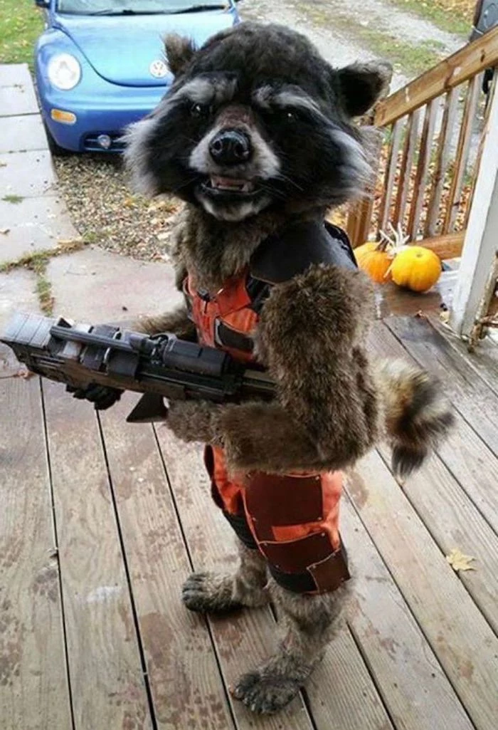 little boy, dressed as rocket, childrens halloween costumes, holding a gun, on the front porch