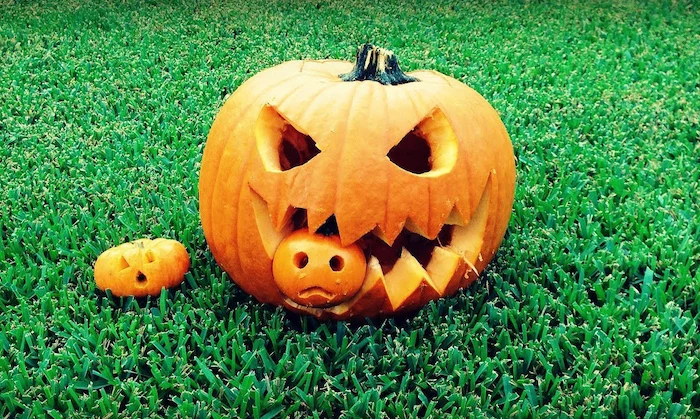 small pumpkin, eaten by a large pumpkin, halloween pumpkin carvings, another small pumpkin, green grass field