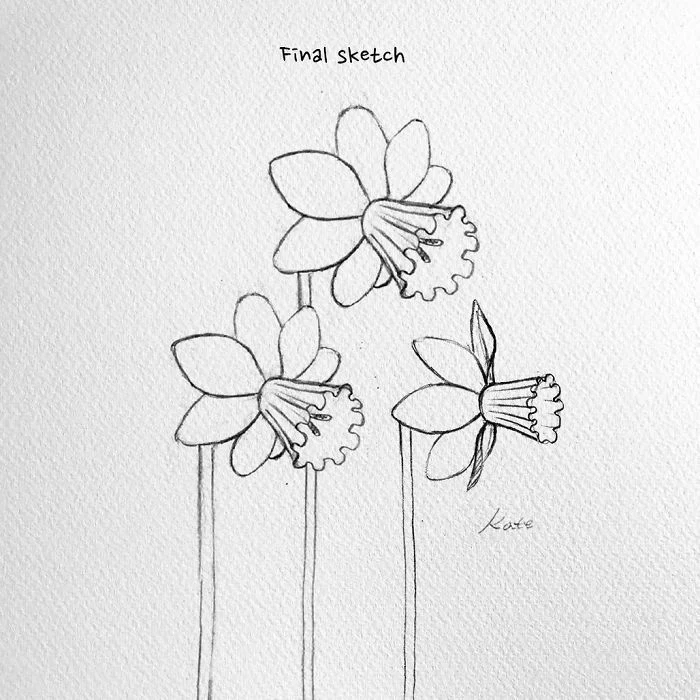 final sketch, three daffodils, black pencil sketch, white background, easy pictures to draw, how to draw flowers step by step with pictures