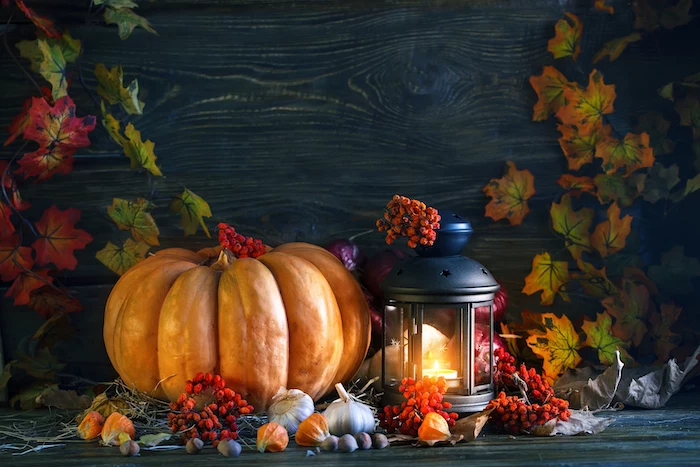 thanksgiving decorations, large pumpkin, candle lantern, black wooden wall, fall leaves, arranged on table