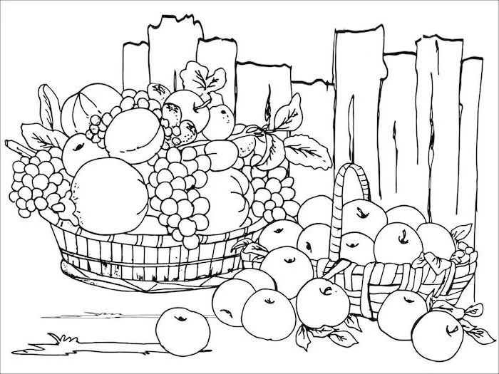 basket full of fruits, coloring pictures for adults, grapes and apples, wooden fence, black and white sketch