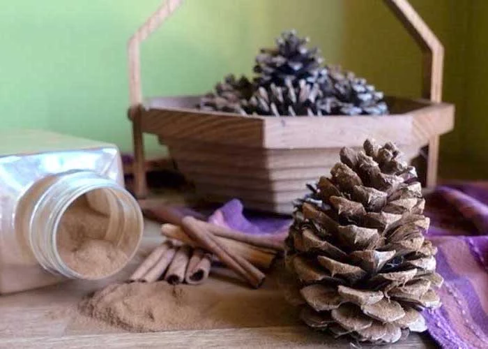 pine cones, in wooden basket, cinnamon powder, inside a jar, purple cloth, turkey decoration, cinnamon sticks