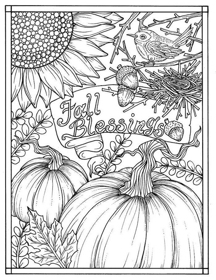 fall blessings, thanksgiving coloring pages, pumpkins and sunflowers, bird and acorns, black and white sketch