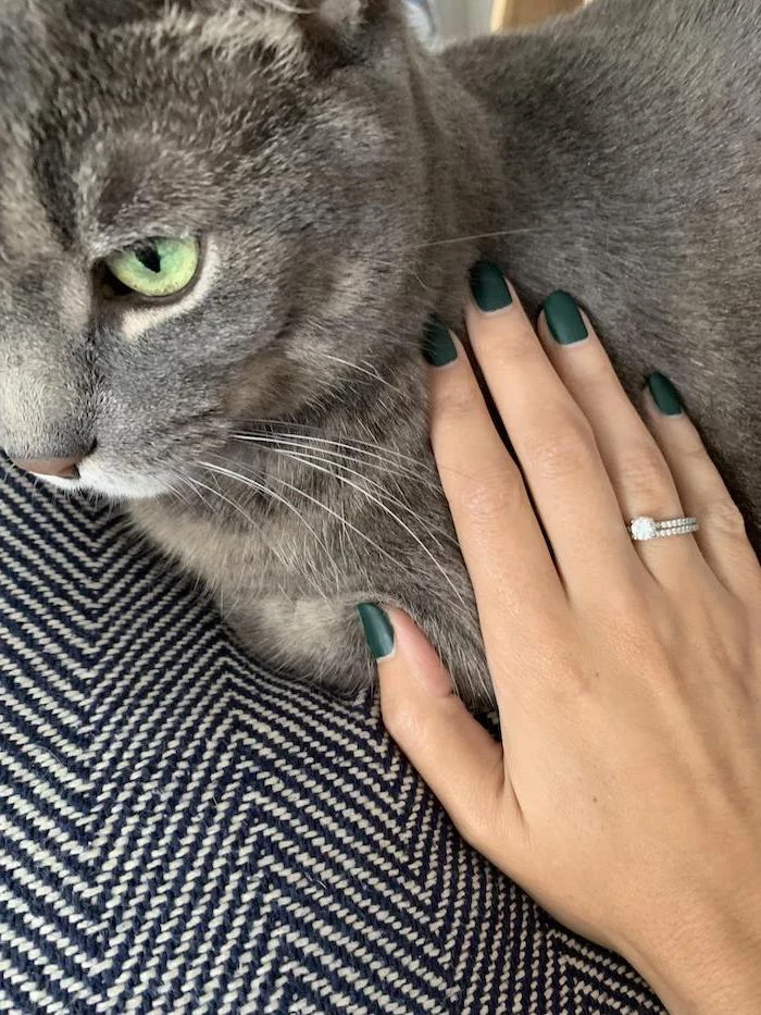 autumn nails, hand petting a grey cat, olive green, matte nail polish, engagement ring, squoval nails