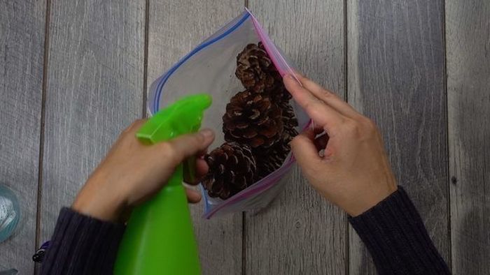 pine cones, inside a ziploc bag, turkey decoration, sprayed with essential oil, on wooden table, step by step, diy tutorial