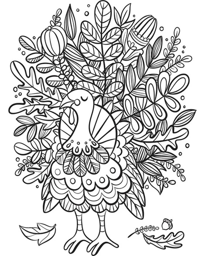 black and white sketch, thanksgiving pictures to color, turkey with floral motifs