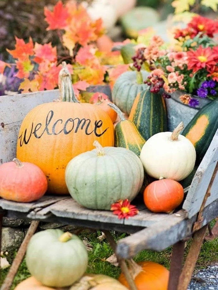 welcome written on pumpkin, pumpkins arranged in barrel, happy thanksgiving sign, flowers and fall leaves, in the background