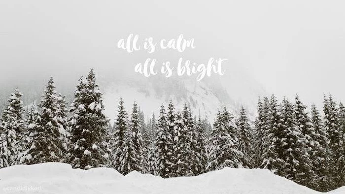 all is calm, all is bright, written over mountain landscape, snow wallpaper, tall trees covered with snow under the fog